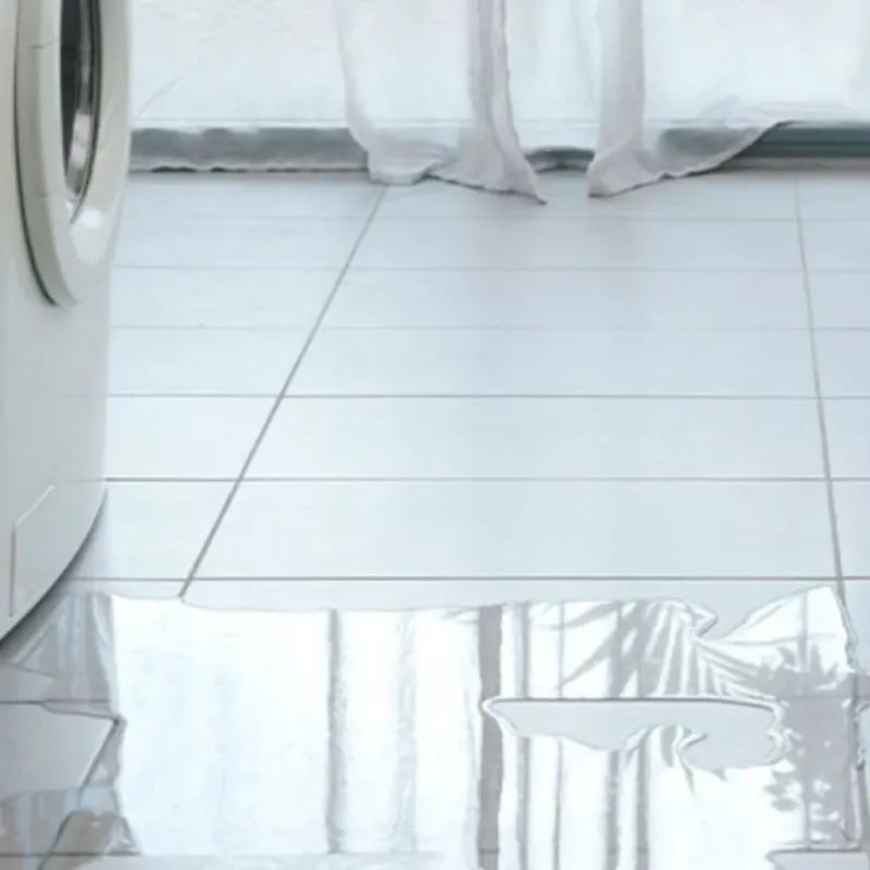 Appliance Leak Cleanup in Benton, IL