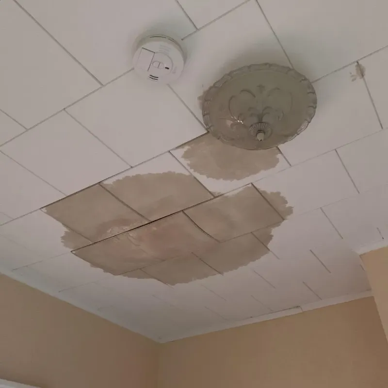 Ceiling Water Damage Repair in Benton, IL