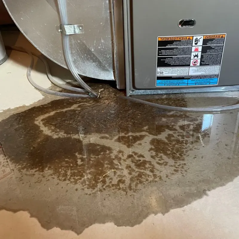 Pipe Burst and Leak Restoration in Benton, IL