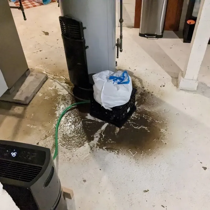 Sewage Backup Cleanup Service in Benton, IL